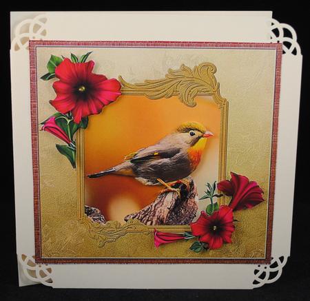 Beautiful Bird by Yvonne Middleton