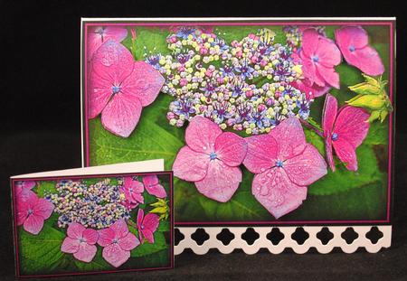 Violets Background by Yvonne Middleton