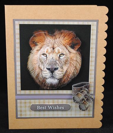 Lion Portrait by Yvonne Middleton