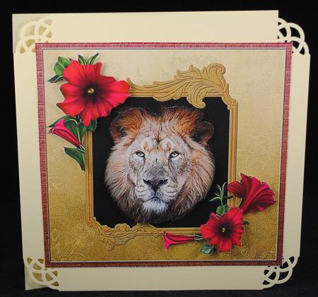 Lion Portrait by Yvonne Middleton