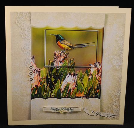 Beautiful Hummingbird by Yvonne Middleton