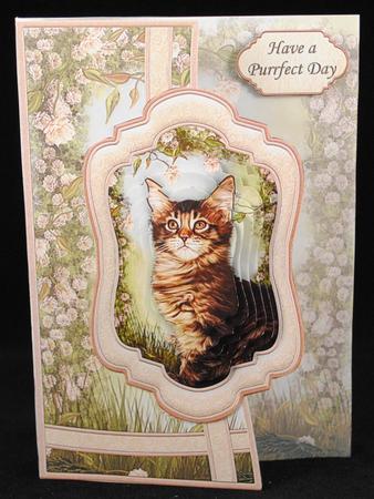 Tabby Cat Curved Over Side Mini Kit & Pyramage by Yvonne Middleton