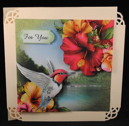 Bee Hummingbird & Hibiscus Flowers. by Yvonne Middleton