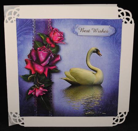 Twilight Roses Swan Reflection by Yvonne Middleton