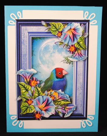 Rainbow Finch & Glorious Moonlight by Yvonne Middleton