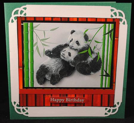 Panda Fun by Yvonne Middleton