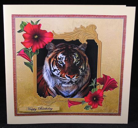 Beautiful Tiger by Yvonne Middleton