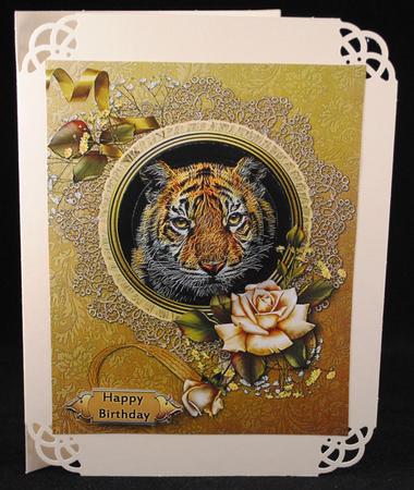 Tiger Portrait by Yvonne Middleton
