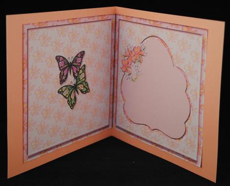 All Occasion Frangipani and Butterflys Square Card Insert by Yvonne Middleton