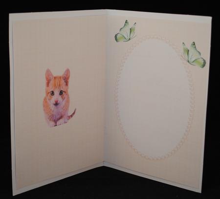 Such a Cute Little Kitten Insert by Yvonne Middleton