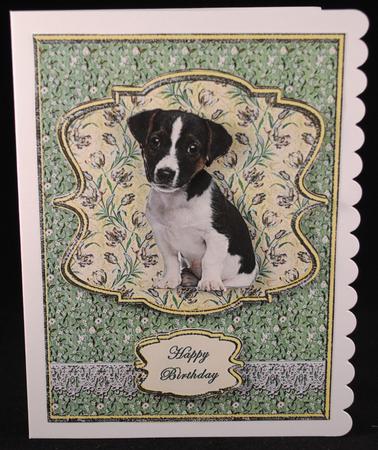 Jack Russell Pup by Yvonne Middleton