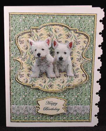 Westie Pups by Yvonne Middleton