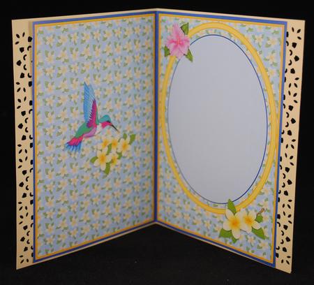 Tropical Beauty Insert by Yvonne Middleton