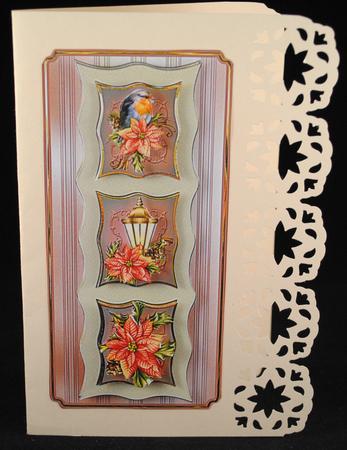 Robin, Lamp and Poinsettias Dl Card by Yvonne Middleton