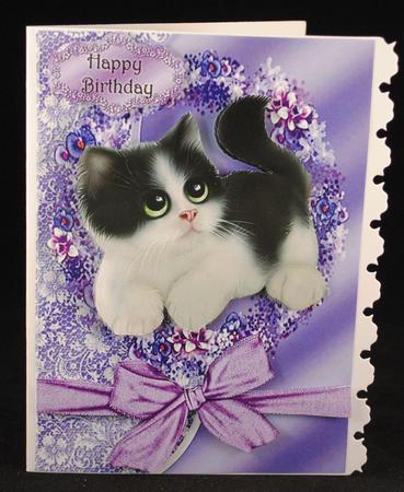 Gorgeous Black & White Kitten by Yvonne Middleton