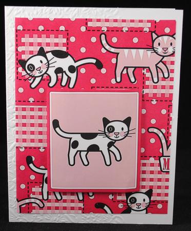 Kitten Background by Yvonne Middleton