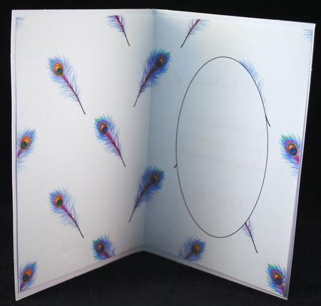 Peacock Feathers Insert by Yvonne Middleton
