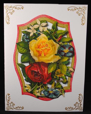 Beautiful Yellow and Red Roses  by Yvonne Middleton