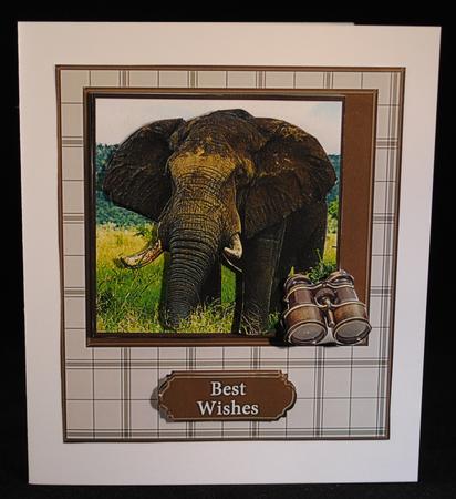 Elephant Safari by Yvonne Middleton