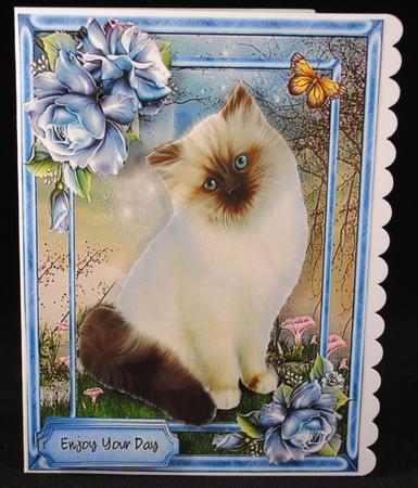 Beautiful Persian Cat and Blue Roses  by Yvonne Middleton