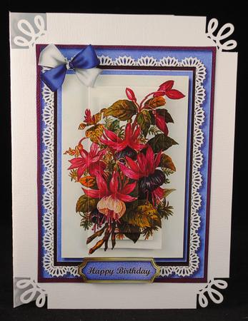 Beautiful Deep Pink and Mauve Fushias  by Yvonne Middleton