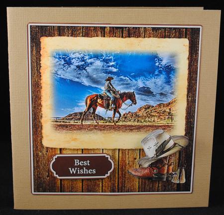 Western Cowboy by Yvonne Middleton