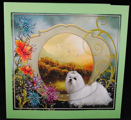 Lovely Maltese Card Front by Yvonne Middleton
