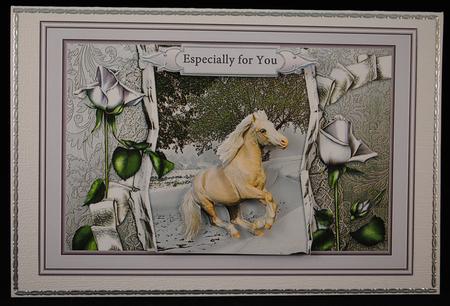 White Beauty by Yvonne Middleton