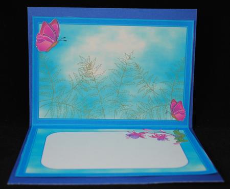 Beautiful Fuschia Insert by Yvonne Middleton