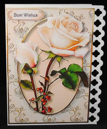 Gorgeous Pale Pink Roseberry Roses by Yvonne Middleton
