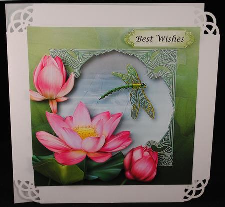 Dragonfly Water Garden by Yvonne Middleton
