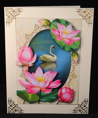 Pretty Pink Lotus Flowers & Swan by Yvonne Middleton