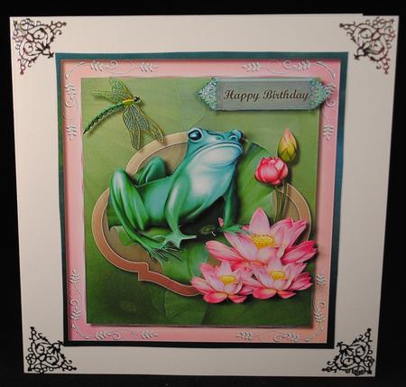 Lovely Frog on the Water Garden  by Yvonne Middleton
