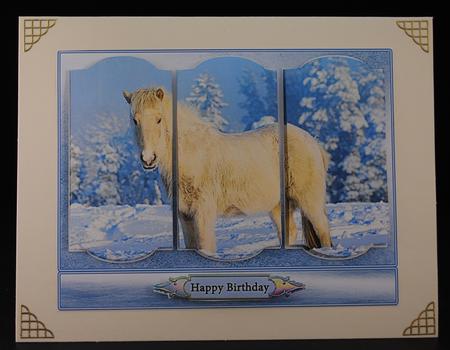 Winter Horse by Yvonne Middleton
