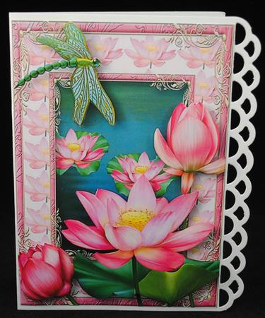 Beautiful Lotus Blooms & Matching Frame by Yvonne Middleton