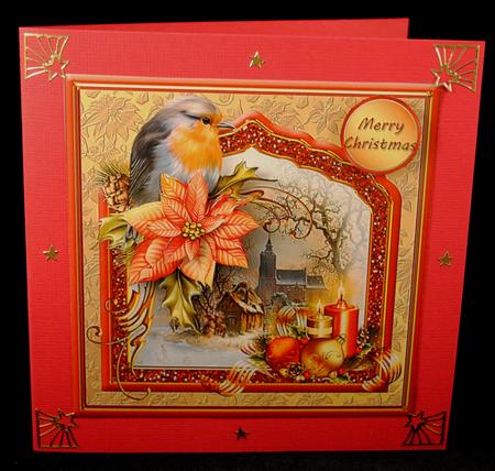 Christmas Robin Fancy Frame Card Front by Yvonne Middleton