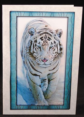 Wild Animal Series - White Tiger - Decoupage by Yvonne Middleton