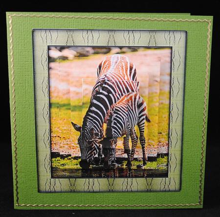 Wild Animals Series - Zebra - Mum and Foal by Yvonne Middleton
