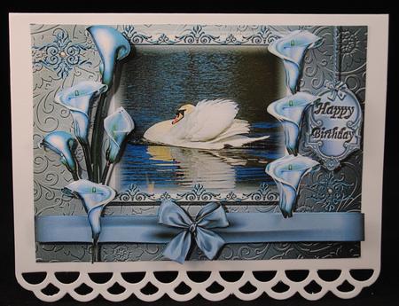 Graceful and Elegant - the Swan by Yvonne Middleton