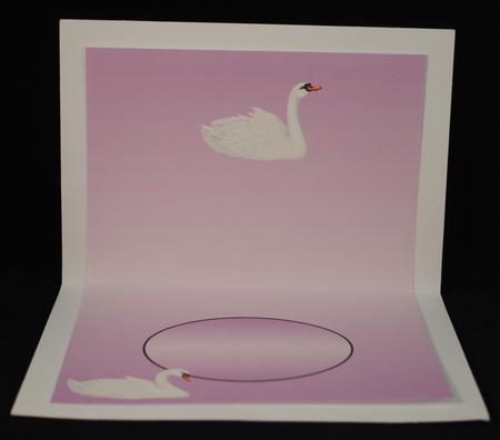 Swan Lace Insert Xxx by Yvonne Middleton