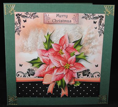 The Christmas Gift of Pink Poinsettias by Yvonne Middleton