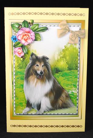 Beautiful Old English Sheep Dog  by Yvonne Middleton