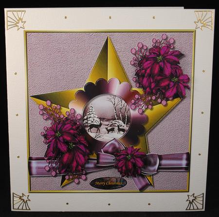 Christmas Star & Purple Poinsettias by Yvonne Middleton