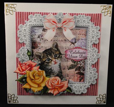 Birthday Kitten by Yvonne Middleton