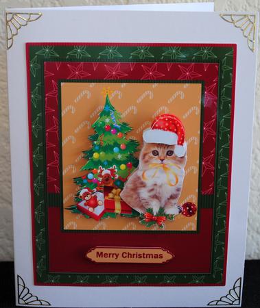 It Wasn't Me Kitten by Yvonne Middleton