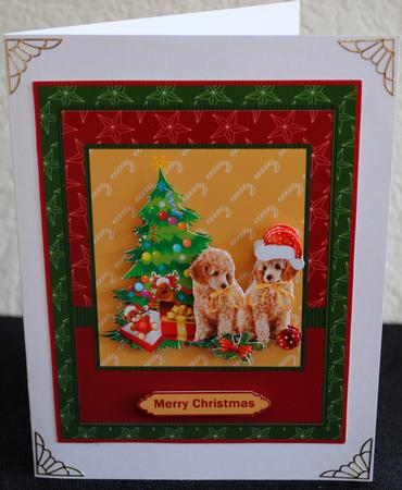 It Wasn't Me Poodle Pups by Yvonne Middleton