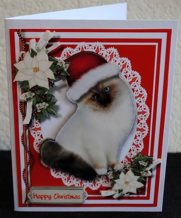 Lovely Persian Cat in a Santa's Hat by Yvonne Middleton