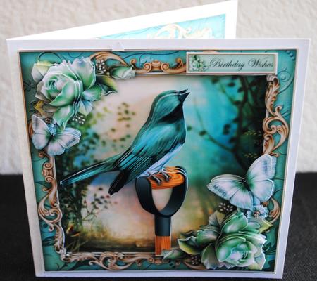 The Spring Garden by Yvonne Middleton