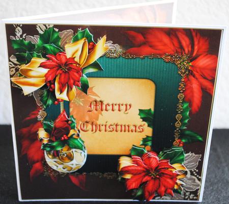 8x8 Poinsettia and Holly Christmas Mini Kit by Yvonne Middleton