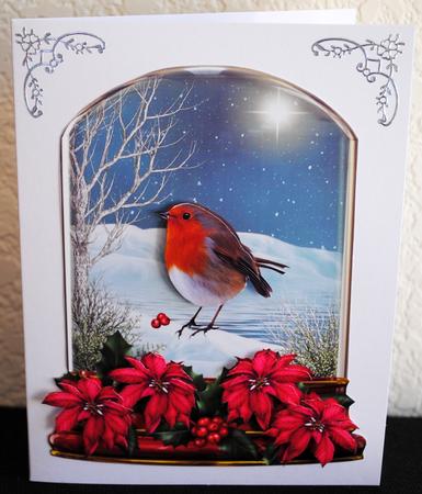 Beautiful Globe with Robin and Poinsettias  by Yvonne Middleton